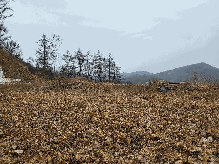 2025타경71729 법원경매 사진8 | 경기 연천군 공장 경매