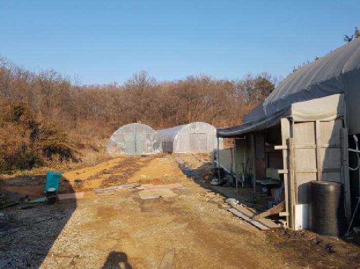법원경매 2025타경50868 사진13 | 광명시 노온사동 임야 경매