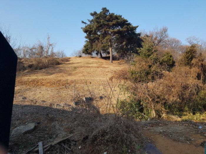 법원경매 2025타경50868 사진5 | 광명시 노온사동 임야 경매
