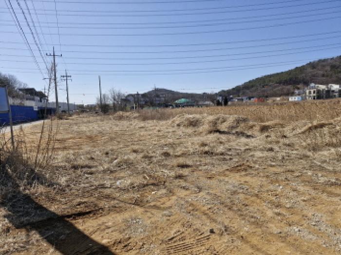 법원경매 2025타경51692 사진7 | 안산시 단원구 대부북동 1865-89 답 경매