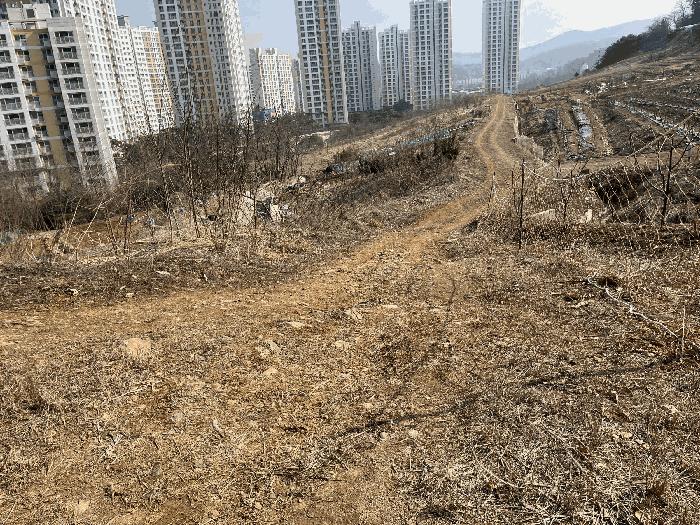 경기도 시흥시 조남동 430-26 법원경매 물건 대표사진