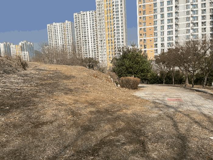 법원경매 2025타경51796 사진3 | 시흥시 조남동 430-26 전 경매