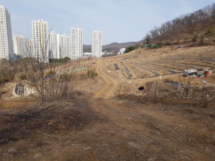 법원경매 2025타경51796 사진9 | 시흥시 조남동 430-26 전 경매
