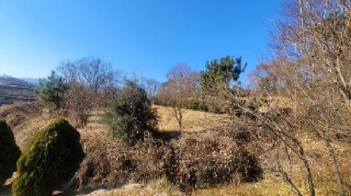2024타경106583 법원경매 사진32 | 경남 함안군 대지,임야,전답 경매