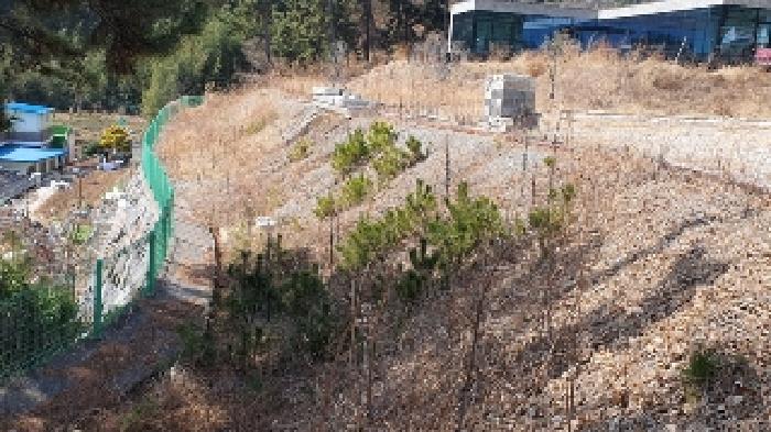 2025타경20405 법원경매 사진10 | 창원 마산합포구 상가,오피스텔,근린시설 경매