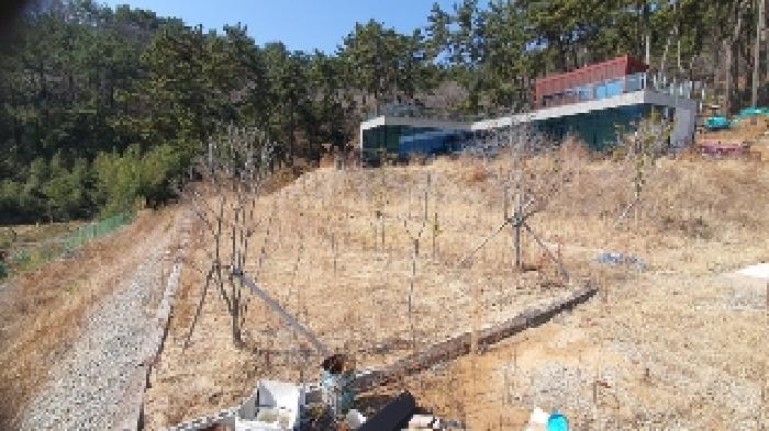 2025타경20405 법원경매 사진6 | 창원 마산합포구 상가,오피스텔,근린시설 경매