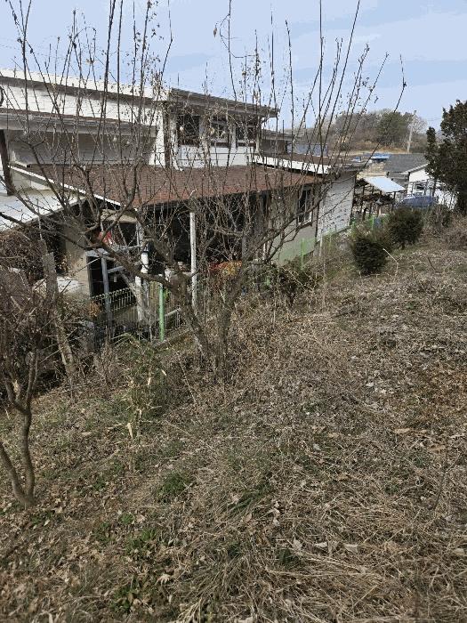 경상남도 함안군 법수면 우거리 956 법원경매 물건 대표사진