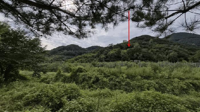 2025타경51740 법원경매 사진2 | 충북 괴산군 임야 경매