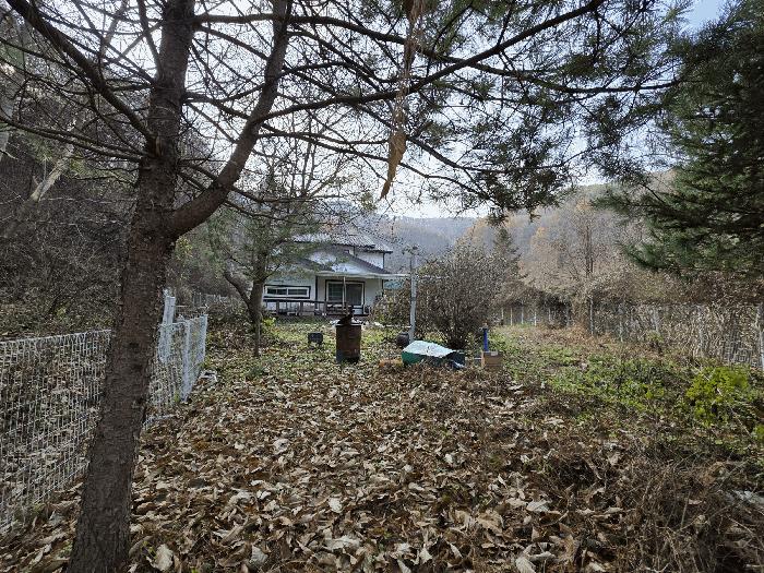 2025타경51785 법원경매 사진6 | 충북 괴산군 주택건물 경매
