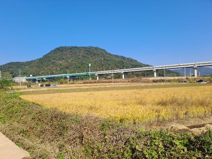 경남 김해시 한림면 장방리 2234 답 사진 2