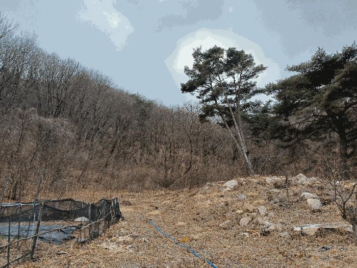 2025타경11131 법원경매 사진2 | 경남 김해시 임야 경매