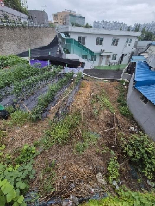 법원경매 2025타경33083 사진6 | 광주 광산구 신가동 358-4 임야 경매