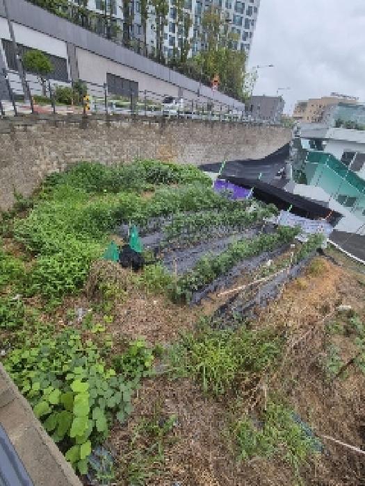 법원경매 2025타경33083 사진7 | 광주 광산구 신가동 358-4 임야 경매