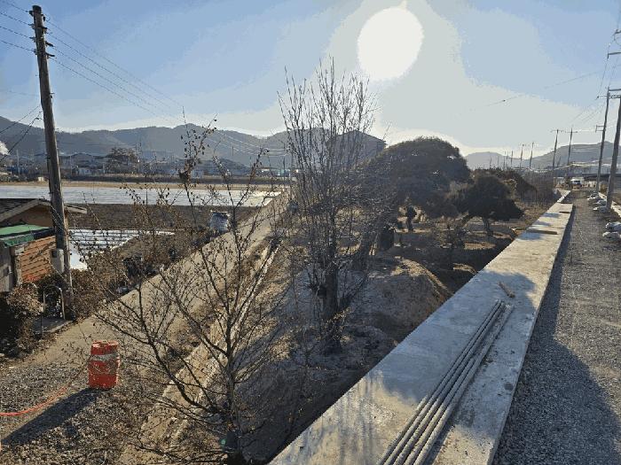 경상북도 고령군 대가야읍 고아리 135-1 법원경매 물건 대표사진