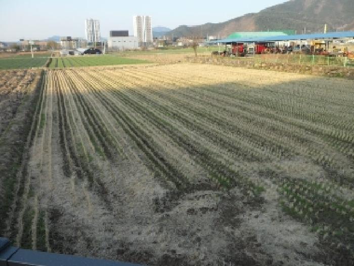 법원경매 2025타경30934 사진4 | 고령군 대가야읍 고아리 135-1 답 경매