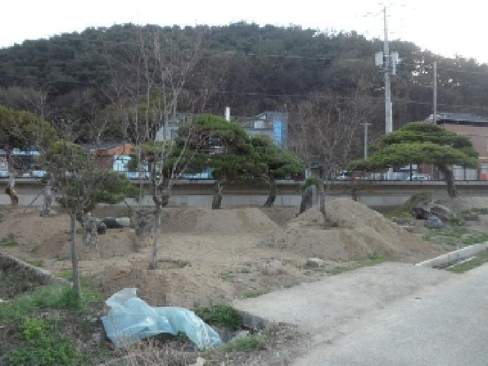 법원경매 2025타경30934 사진5 | 고령군 대가야읍 고아리 135-1 답 경매