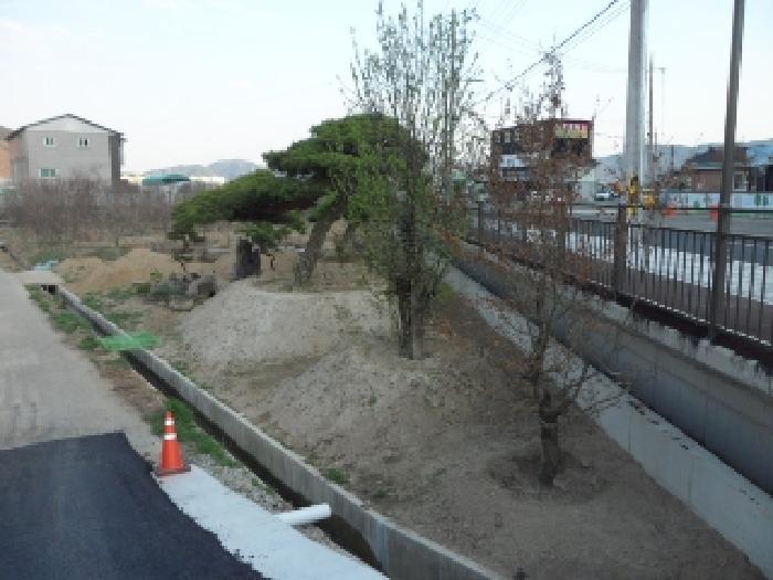 법원경매 2025타경30934 사진6 | 고령군 대가야읍 고아리 135-1 답 경매