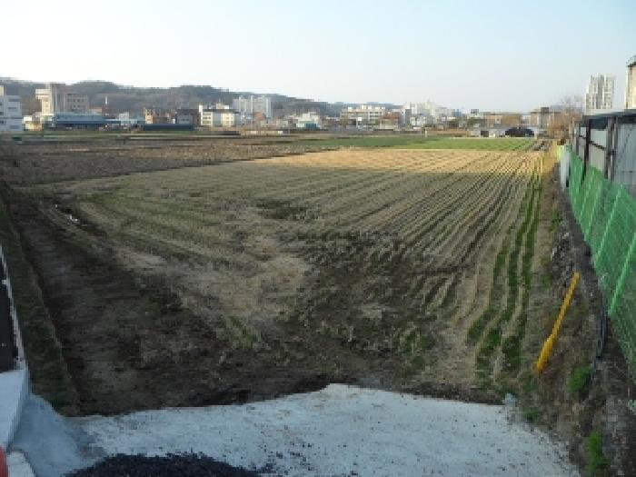법원경매 2025타경30934 사진7 | 고령군 대가야읍 고아리 135-1 답 경매