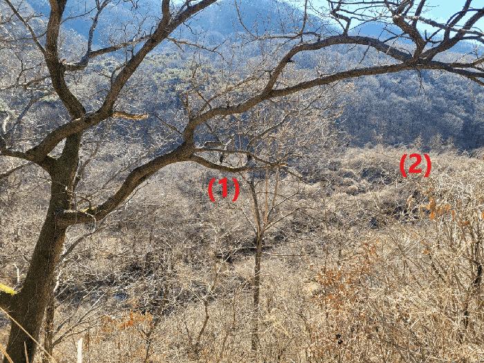 법원경매 2025타경7137 사진9 | 칠곡군 석적읍 성곡리 18 답 경매