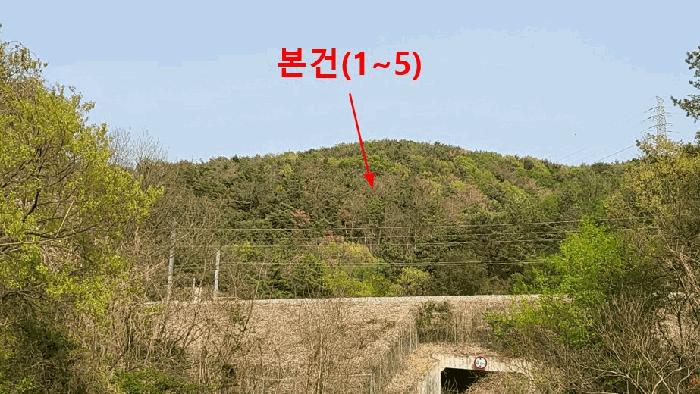 법원경매 2025타경11627 사진7 | 울주군 언양읍 직동리 임야 경매