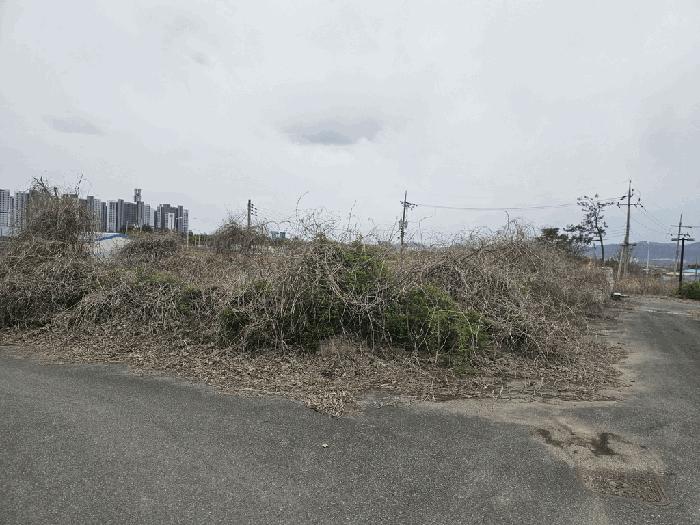 2025타경32468 법원경매 사진5 | 전남 나주시 대지 경매