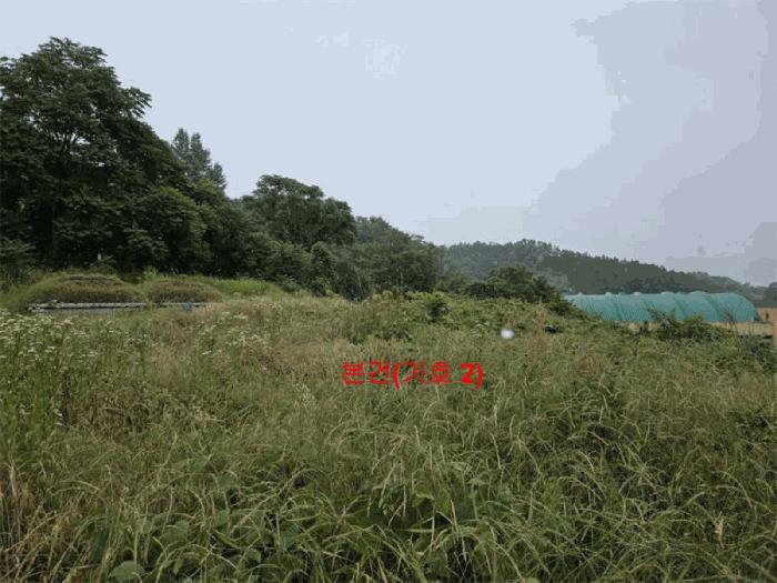 2025타경493 법원경매 사진9 | 경남 합천군 전 경매