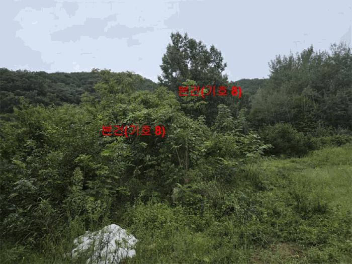 2025타경165 법원경매 사진45 | 경남 합천군 축사(농가시설) 경매