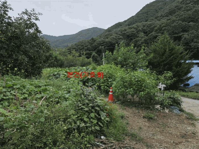 2025타경165 법원경매 사진46 | 경남 합천군 축사(농가시설) 경매