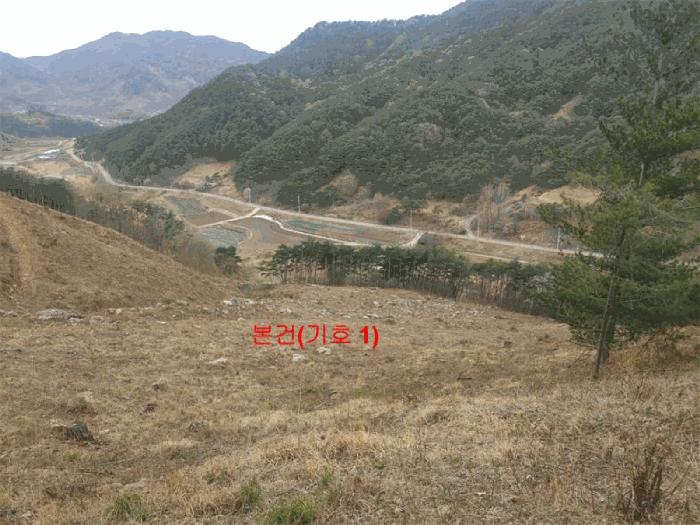 법원경매 2025타경325 사진2 | 함양군 안의면 황곡리 임야 경매
