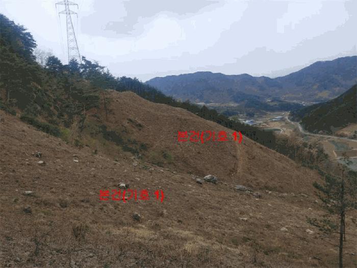 법원경매 2025타경325 사진3 | 함양군 안의면 황곡리 임야 경매