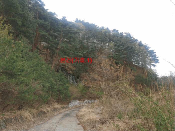 법원경매 2025타경325 사진7 | 함양군 안의면 황곡리 임야 경매