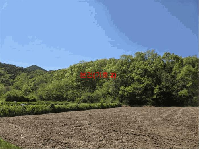 경상남도 거창군 남하면 지산리 산206 법원경매 물건 대표사진