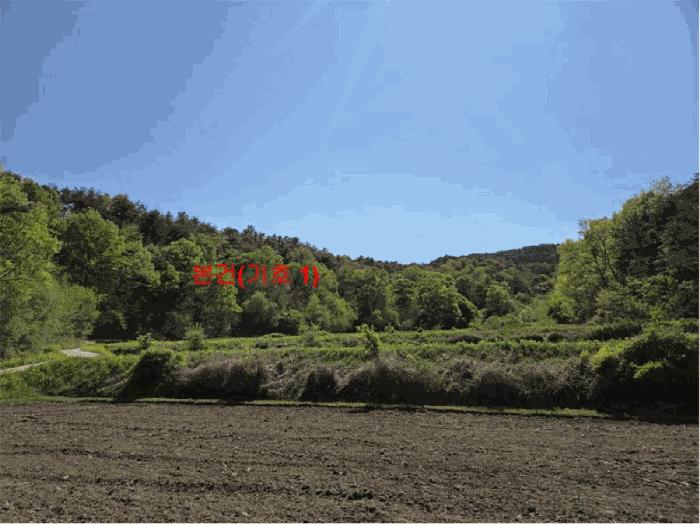 2025타경387 법원경매 사진5 | 경남 거창군 임야 경매