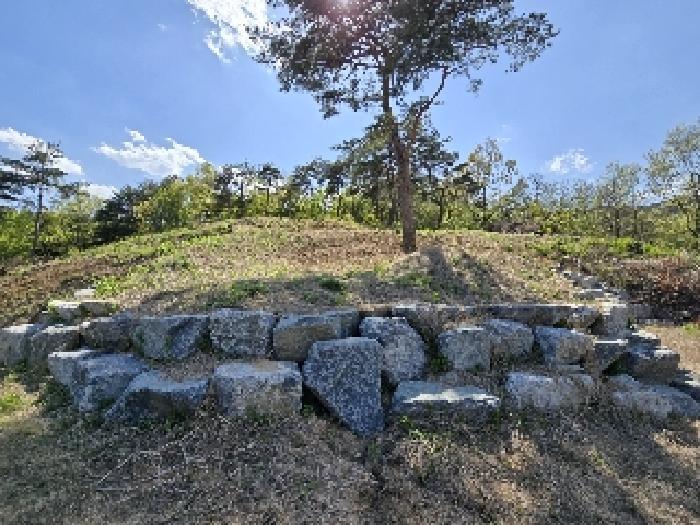 2025타경387 법원경매 사진8 | 경남 거창군 임야 경매