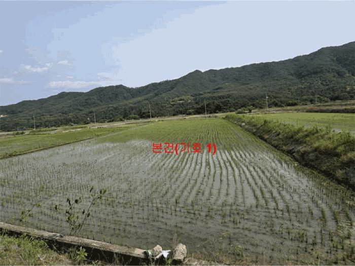 2025타경10229 법원경매 사진2 | 경남 함양군 답 경매