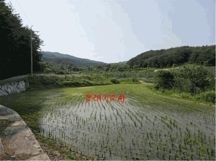 2025타경10229 법원경매 사진3 | 경남 함양군 답 경매