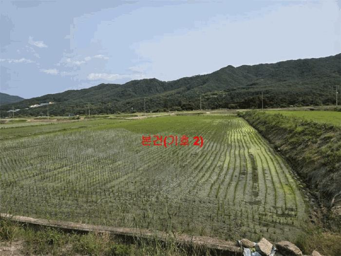 2025타경10229 법원경매 사진4 | 경남 함양군 답 경매