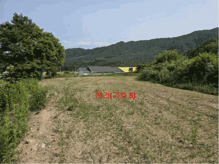 2025타경10229 법원경매 사진5 | 경남 함양군 답 경매