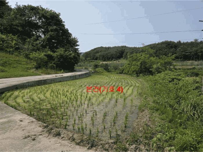 2025타경10229 법원경매 사진6 | 경남 함양군 답 경매