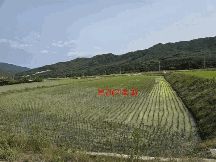 2025타경10229 법원경매 사진7 | 경남 함양군 답 경매