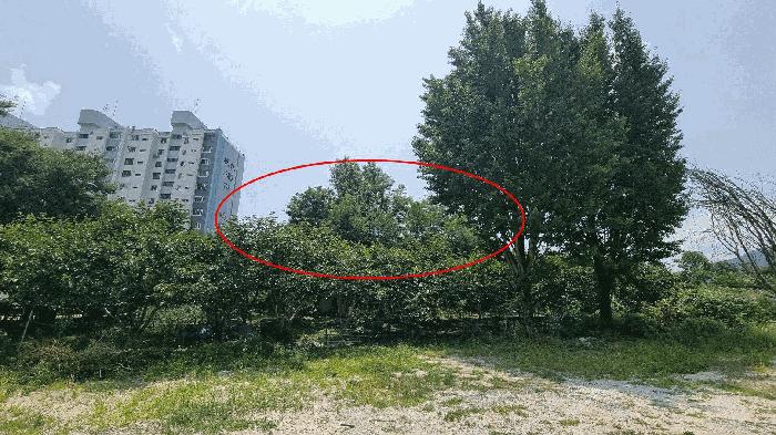 법원경매 2025타경10245 사진2 | 거창군 거창읍 상림리 임야 경매