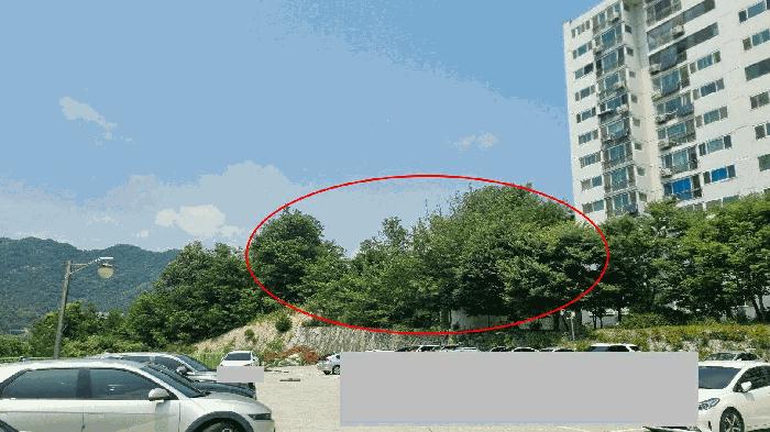 법원경매 2025타경10245 사진4 | 거창군 거창읍 상림리 임야 경매