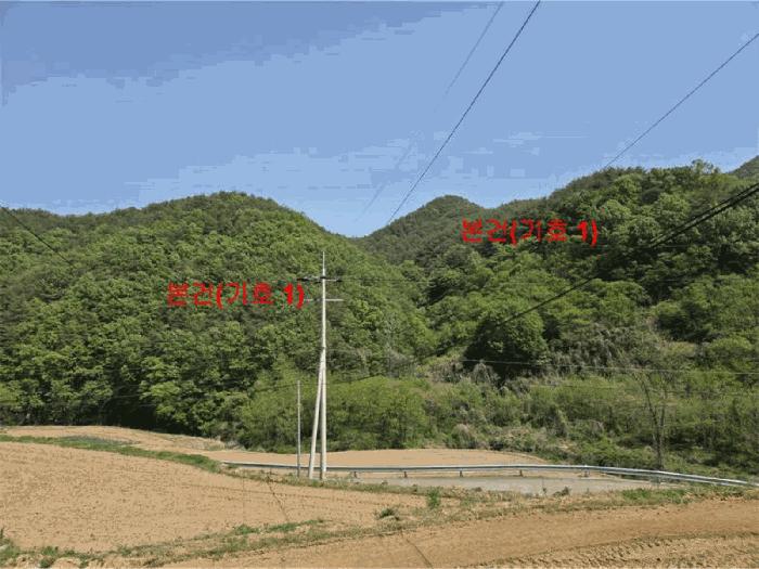 경남 합천군 용주면 용지리 산52-1 임야 사진 2