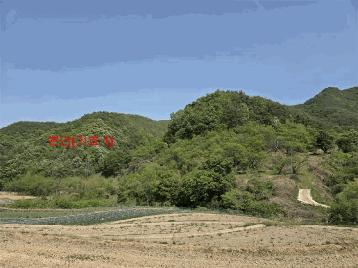 경남 합천군 용주면 용지리 산52-1 임야 사진 3