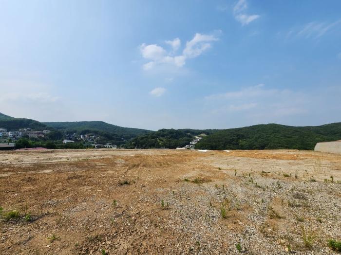 법원경매 2024타경69380 사진2 | 용인시 수지구 동천동 604-14 임야 경매