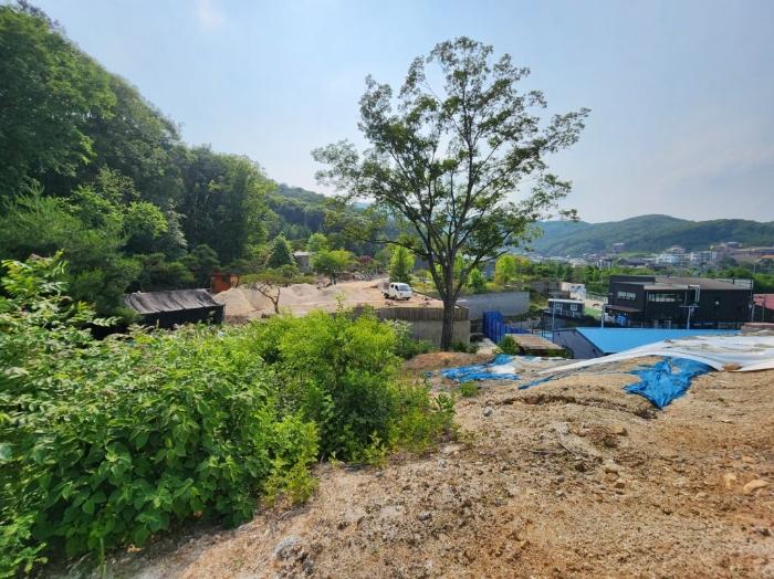 법원경매 2024타경69380 사진3 | 용인시 수지구 동천동 604-14 임야 경매