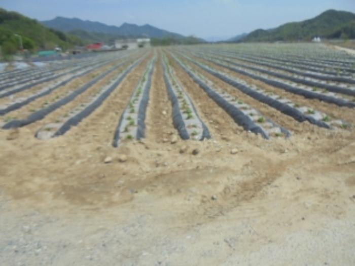 2024타경1169 법원경매 사진63 | 충북 충주시 답 경매