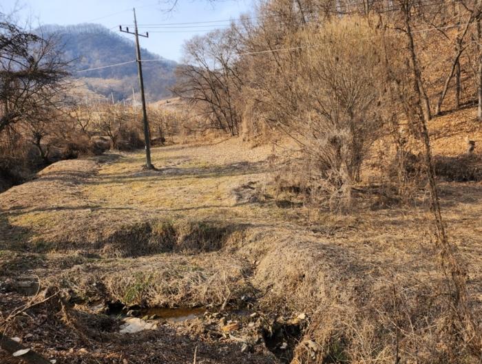 2024타경3004 법원경매 사진5 | 충북 충주시 답 경매