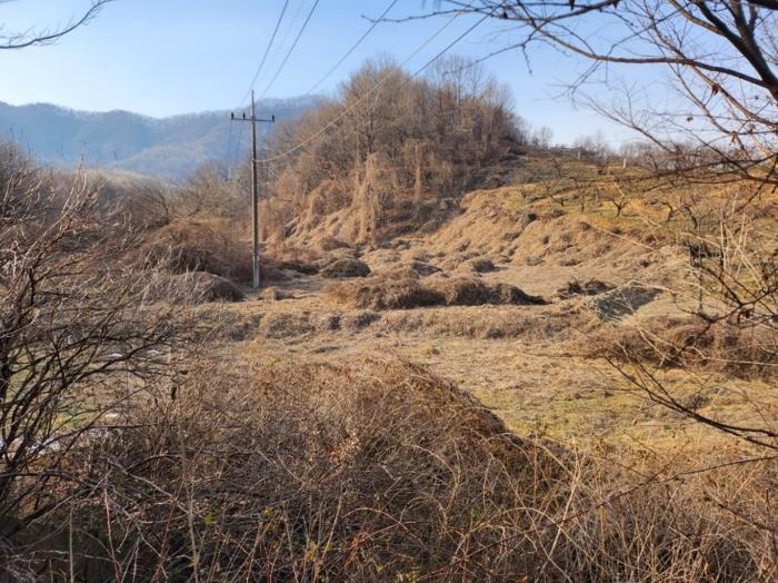 2024타경3004 법원경매 사진7 | 충북 충주시 답 경매