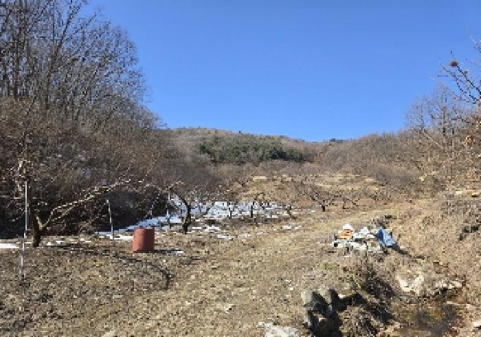 법원경매 2025타경132 사진4 | 충주시 소태면 복탄리 460 답 경매